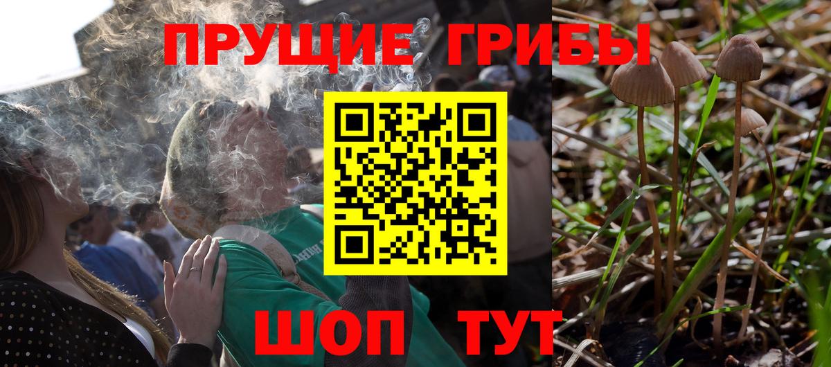 Псилоцибиновые грибы Cubensis  купить  сайты  Архангельск  Вход с VPN  Псилоцибиновые грибы MAGIC MUSHROOMS 